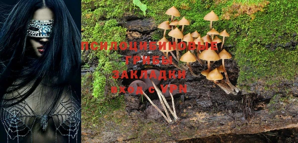 винт Михайловка
