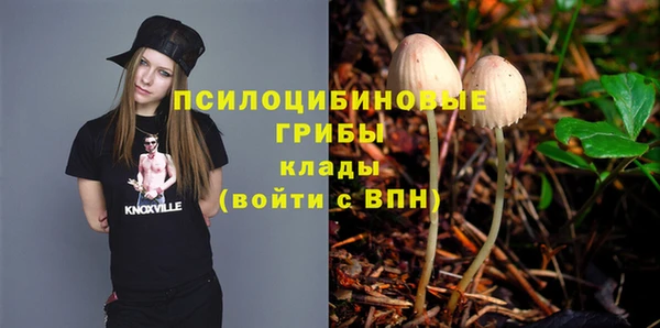 винт Михайловка