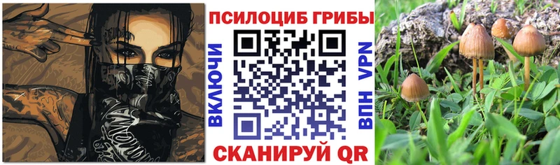 Псилоцибиновые грибы Cubensis  Купить  Межгорье 